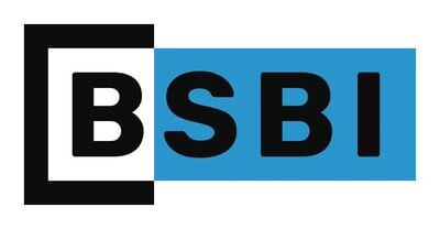 Berlin School of Business and Innovation